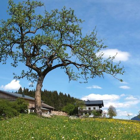 Unterhofgut Villa Goldegg Exterior foto