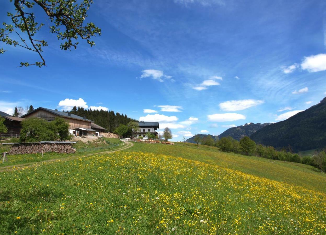 Unterhofgut Villa Goldegg Exterior foto